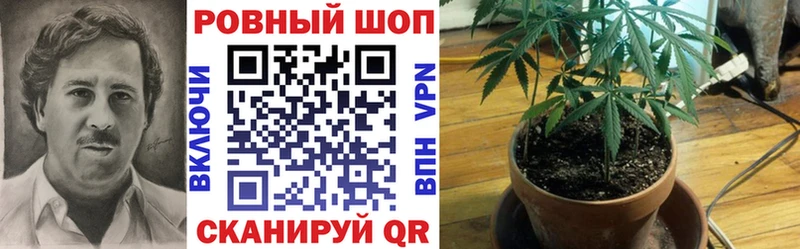 Купить наркотики цена Нурлат Псилоцибиновые грибы  Меф  ГАШ  КОКАИН  A-PVP 