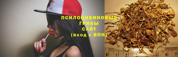 кокс Дмитриев