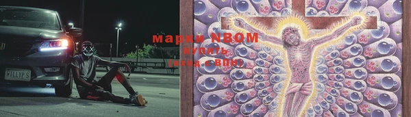 PSILOCYBIN Дмитров