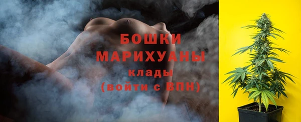 кокс Дмитриев