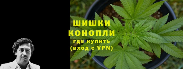 кокс Дмитриев