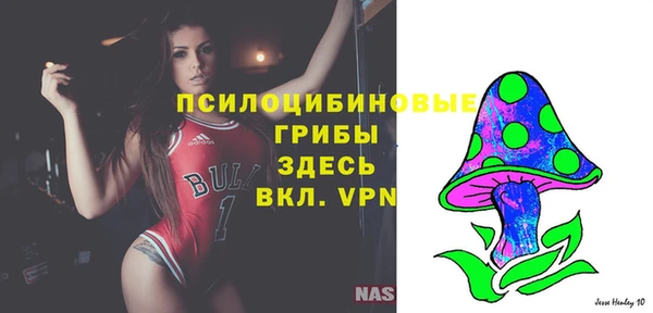 PSILOCYBIN Дмитров