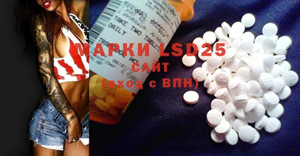 PSILOCYBIN Дмитров