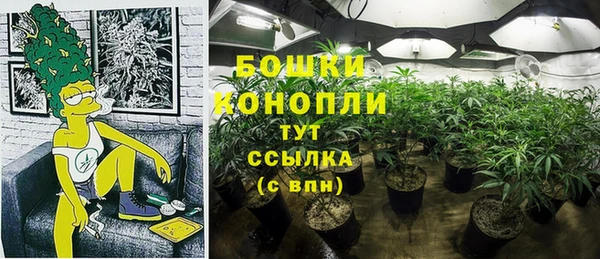 кокс Дмитриев